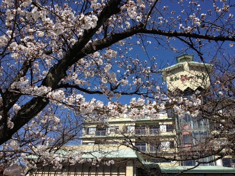 Isawa View Hotel Fuefuki Exterior foto